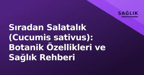Sıradan Salatalık (Cucumis sativus): Botanik Özellikleri ve Sağlık Rehberi