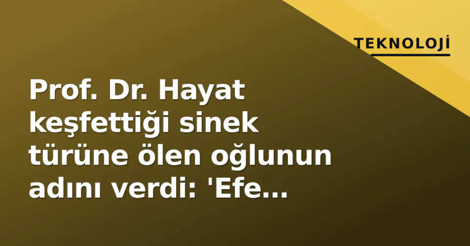 Prof. Dr. Hayat keşfettiği sinek türüne ölen oğlunun adını verdi: 'Efe sonsuza kadar uçuşacak' görseli