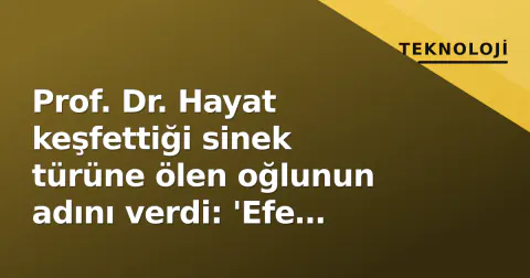 Prof. Dr. Hayat keşfettiği sinek türüne ölen oğlunun adını verdi: 'Efe sonsuza kadar uçuşacak'