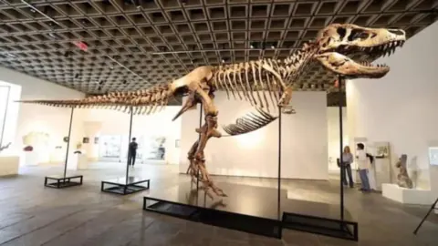 Rekor Kırıldı: Nadir T. rex Fosili 50 Milyon Dolara Satıldı