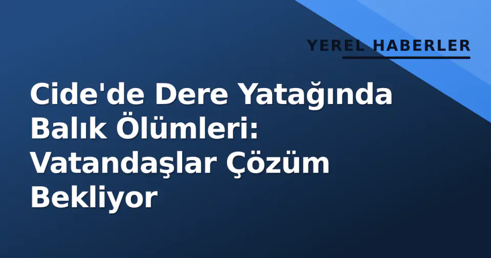 Cide'de Dere Yatağında Balık Ölümleri: Vatandaşlar Çözüm Bekliyor görseli