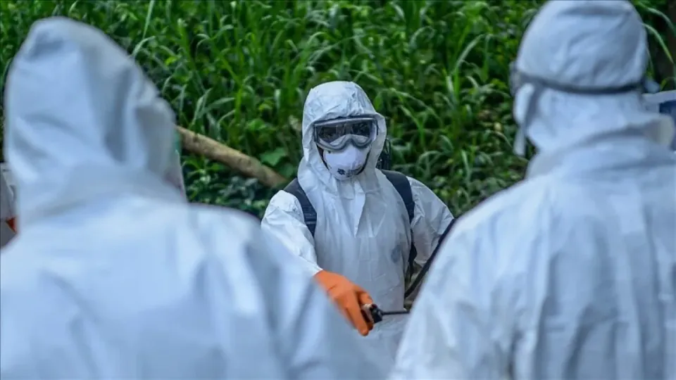 Kongo'da Ebola Alarmı: Vaka Sayısı 933'e Yükseldi, Ölümler Artıyor görseli