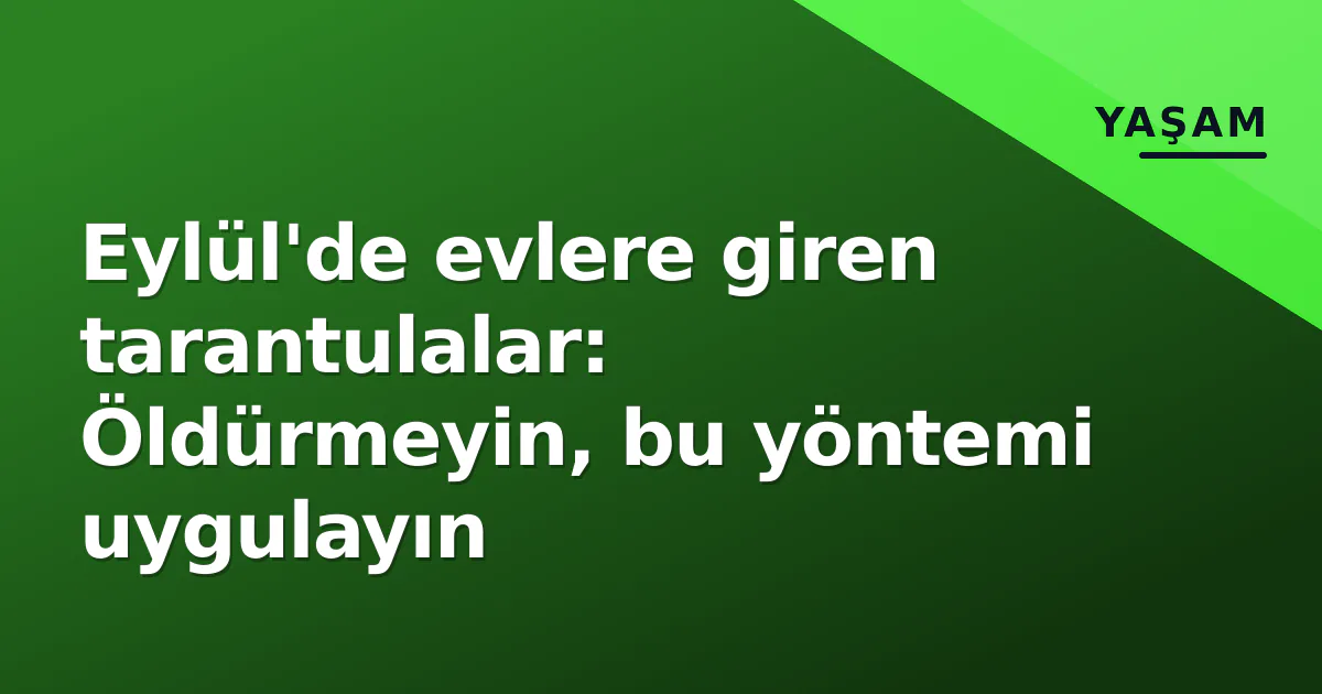 Eylül'de evlere giren tarantulalar: Öldürmeyin, bu yöntemi uygulayın Eylül'de evlere giren tarantulalar: Öldürmeyin, bu yöntemi uygulayın