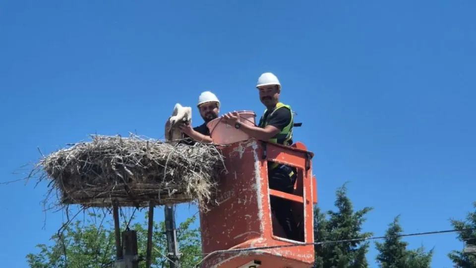 Tekirdağ'da 'Karakavak Leylek Köyü' Dönemi: Dev Halkalama Projesi Başladı görseli