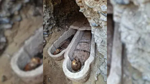 Mısır'da Ezber Bozan Keşif: 1600 Yıllık Mumyadan İlyada Çıktı
