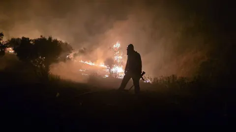 Manisa'da Zeytinlik ve Makilik Alanda Yangın