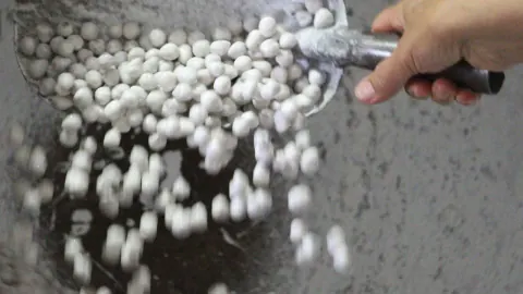Bolu'nun 100 yıllık mirası 'Dağ Fındığı Şekeri' hammadde çöllüğünde: "Ağaçlar verim vermez oldular"