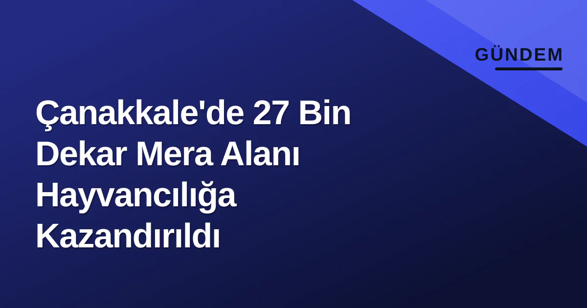 Çanakkale'de 27 Bin Dekar Mera Alanı Hayvancılığa Kazandırıldı Çanakkale'de 27 Bin Dekar Mera Alanı Hayvancılığa Kazandırıldı