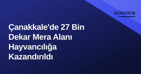 Çanakkale'de 27 Bin Dekar Mera Alanı Hayvancılığa Kazandırıldı