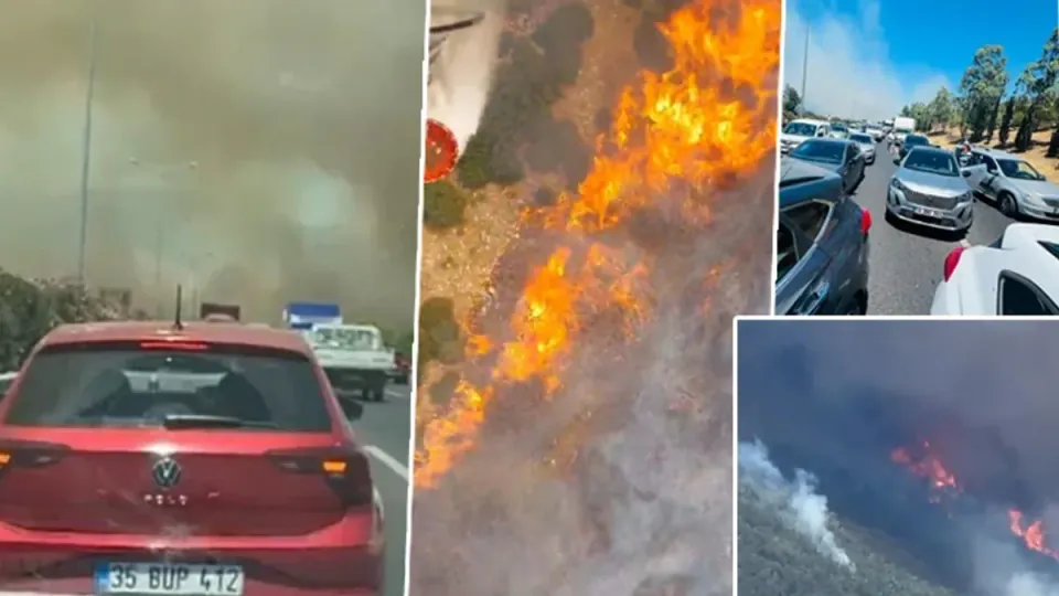 İzmir ve Manisa'da Orman Yangınları: İzmir-İstanbul Otoyolu Trafiğe Kapatıldı görseli