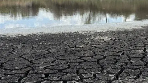 Klima Krizi ve İklim Değişikliği: 'Klimakatastrophe'