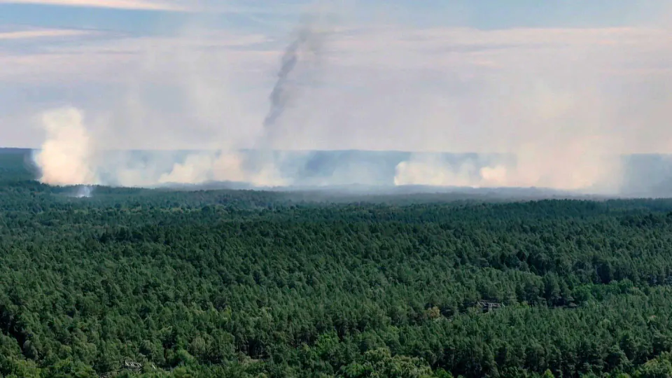 Müritz Milli Parkı'nda Orman Yangını Kabusu: 318 Hektar Kül Oldu görseli