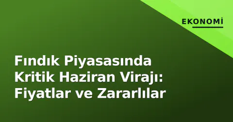 Fındık Piyasasında Kritik Haziran Virajı: Fiyatlar ve Zararlılar