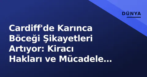 Cardiff'de Karınca Böceği Şikayetleri Artıyor: Kiracı Hakları ve Mücadele Rehberi