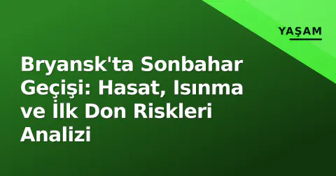 Bryansk'ta Sonbahar Geçişi: Hasat, Isınma ve İlk Don Riskleri Analizi