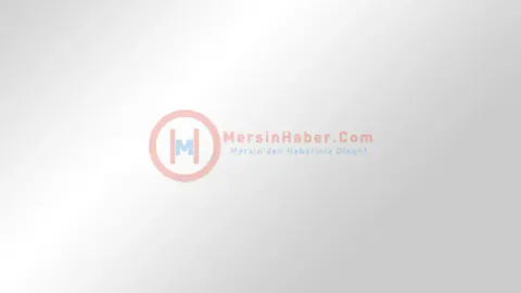 A Milli Takım Paraguay Maçı Öncesi San Francisco'da Taraftar Akını