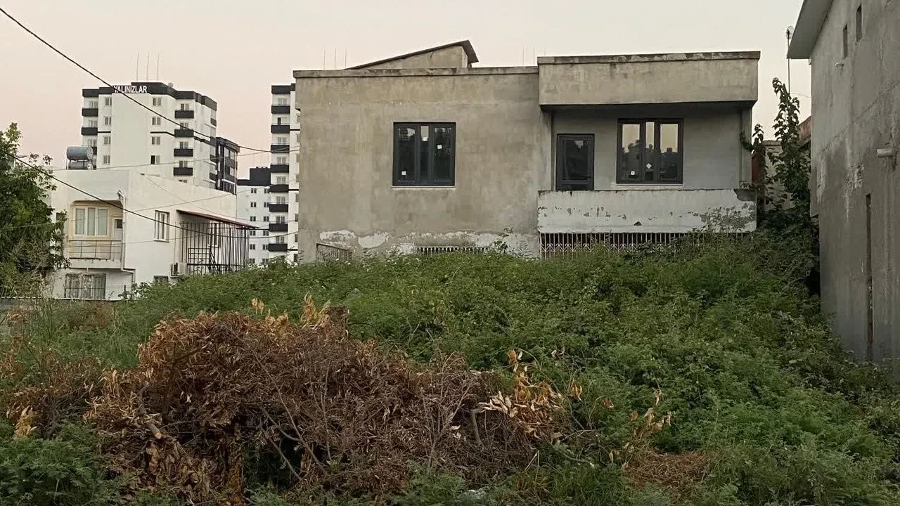 Adana Seyhan'da Boş Arsalar Haşere Yuvasına Döndü: Mahalleli Tedirgin Adana Seyhan'da Boş Arsalar Haşere Yuvasına Döndü: Mahalleli Tedirgin