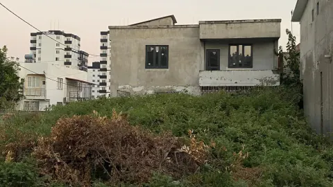 Adana Seyhan'da Boş Arsalar Haşere Yuvasına Döndü: Mahalleli Tedirgin