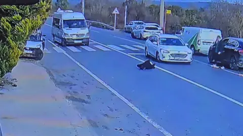 Türkiye'de Trafik Kazaları Alarm Veriyor: 2025 Verileri ve Gizli Tehlikeler