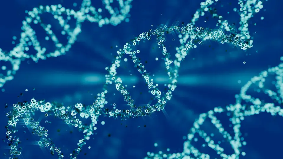 DNA Testi Hediye Etmeden Önce Dikkat: Uzmanlar Büyük Riskler Konusunda Uyarıyor görseli