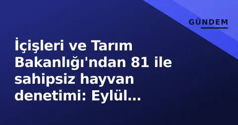 İçişleri ve Tarım Bakanlığı'ndan 81 ile sahipsiz hayvan denetimi: Eylül boyunca sahada müfettiş