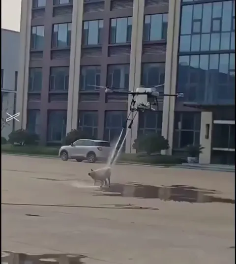 Çin'de dağıtım dronu sokakta köpeğe çarptı: Güvenlik tartışmaları alevlendi