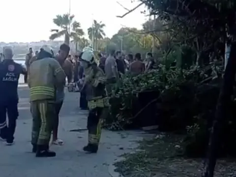 Büyükçekmece Mimar Sinan Sahili'nde Toprak Kayması: Ekipler Seferberlik