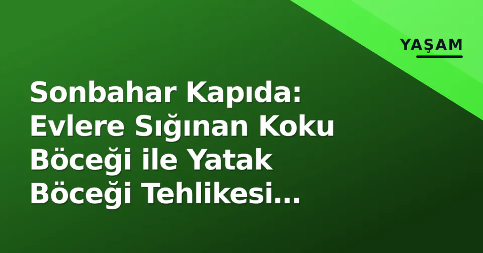 Sonbahar Kapıda: Evlere Sığınan Koku Böceği ile Yatak Böceği Tehlikesi Arasındaki Fark görseli