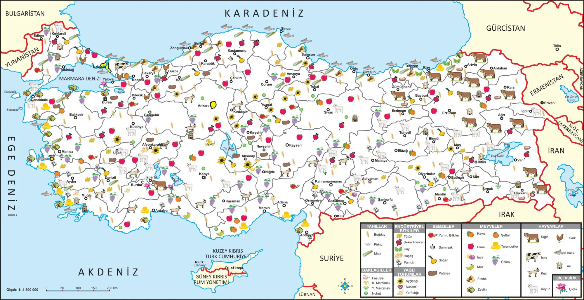 İşlenmiş Etlerde Sağlık Alarmı: Jambon ve Diğer Ürünlerin Riskleri İşlenmiş Etlerde Sağlık Alarmı: Jambon ve Diğer Ürünlerin Riskleri