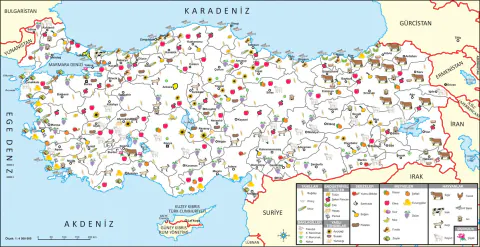 İşlenmiş Etlerde Sağlık Alarmı: Jambon ve Diğer Ürünlerin Riskleri