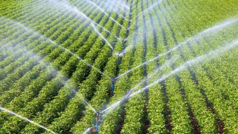 Çankırı’da 21. etap sulama hibesi: 10 gün içinde sözleşme imzalama süreci başladı