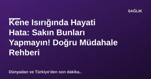 Kene Isırığında Hayati Hata: Sakın Bunları Yapmayın! Doğru Müdahale Rehberi