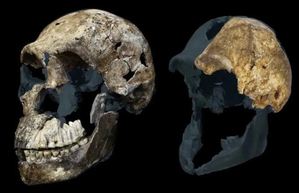 Homo naledi Gizemi: Güney Afrika'daki Mağarada Şaşırtıcı Keşif görseli
