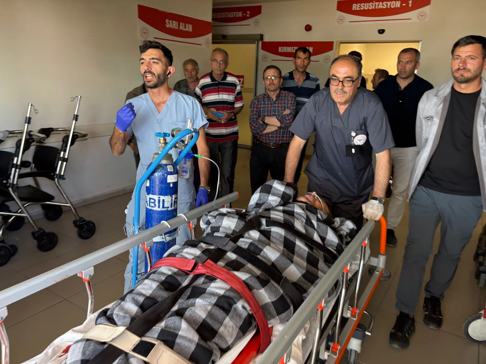 Sivas Suşehri'nde Ayı Saldırısı: Yaralanan Çoban Tedavi Altına Alındı Sivas Suşehri'nde Ayı Saldırısı: Yaralanan Çoban Tedavi Altına Alındı