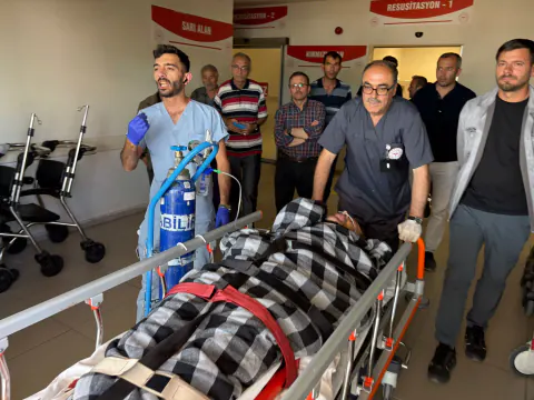 Sivas Suşehri'nde Ayı Saldırısı: Yaralanan Çoban Tedavi Altına Alındı