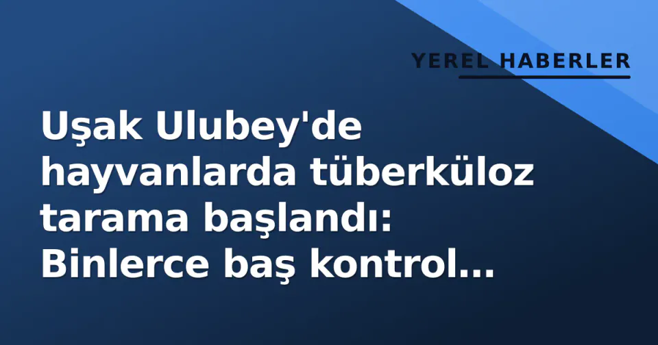 Uşak Ulubey'de hayvanlarda tüberküloz tarama başlandı: Binlerce baş kontrol edilecek görseli