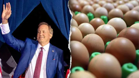 Ken Paxton Duyurdu: Texas'ta 7 Milyon Ücretsiz Yumurta Dağıtımı Başladı