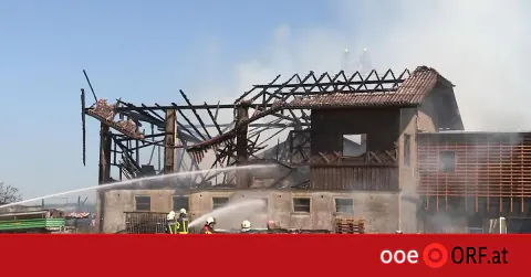 Avusturya'da Korkutan Çiftlik Yangını: 21 İtfaiye Ekibi Seferber Oldu