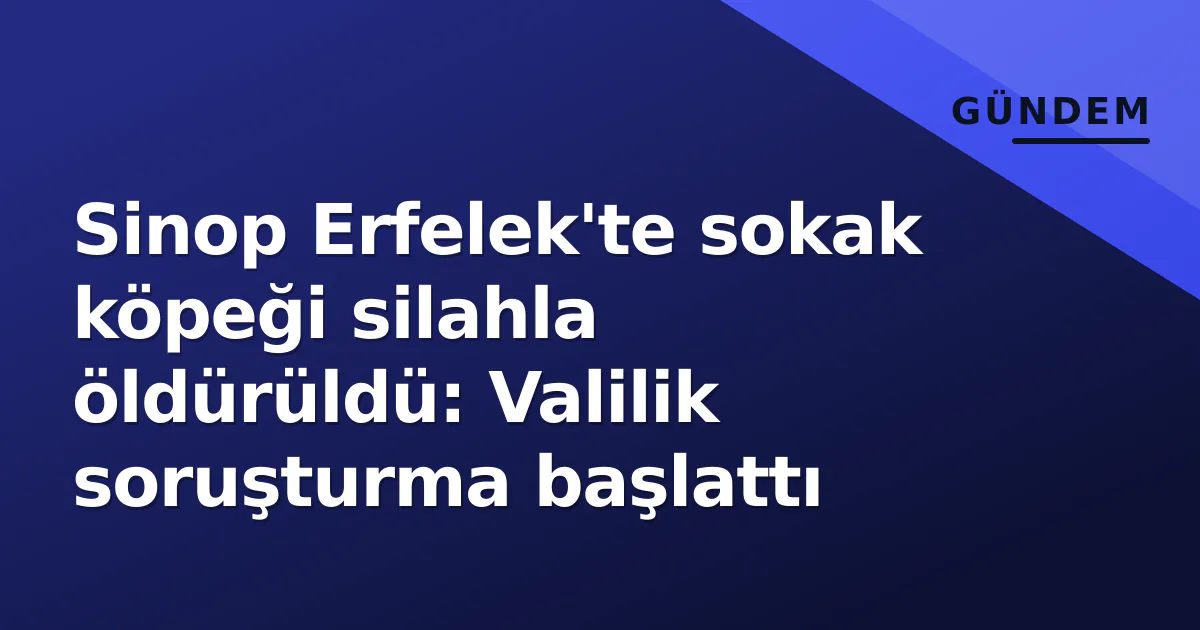 Sinop Erfelek'te sokak köpeği silahla öldürüldü: Valilik soruşturma başlattı Sinop Erfelek'te sokak köpeği silahla öldürüldü: Valilik soruşturma başlattı