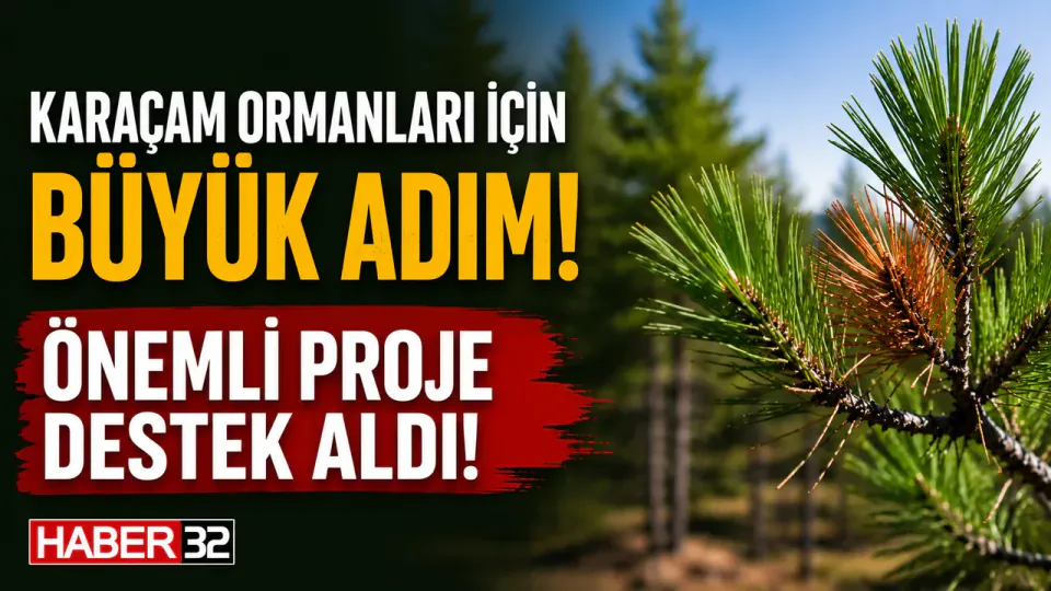 ISUBÜ'lü Akademisyenin Karaçam Ormanlarını Koruyacak Projesine TÜBİTAK Desteği görseli