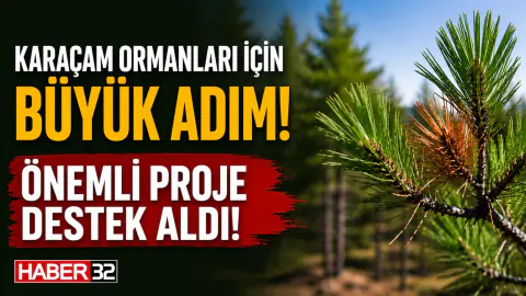 ISUBÜ'lü Akademisyenin Karaçam Ormanlarını Koruyacak Projesine TÜBİTAK Desteği