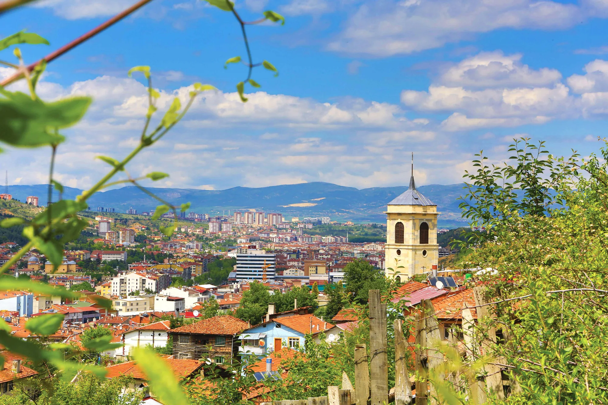 Kastamonu'da Orman Yolları İçin Boru Alımı İhalesi: Detaylar Belli Oldu Kastamonu'da Orman Yolları İçin Boru Alımı İhalesi: Detaylar Belli Oldu