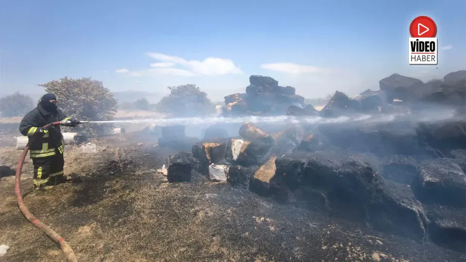 Erzincan Söğüt Özü Köyü'nde Saman ve Arazi Yangını görseli