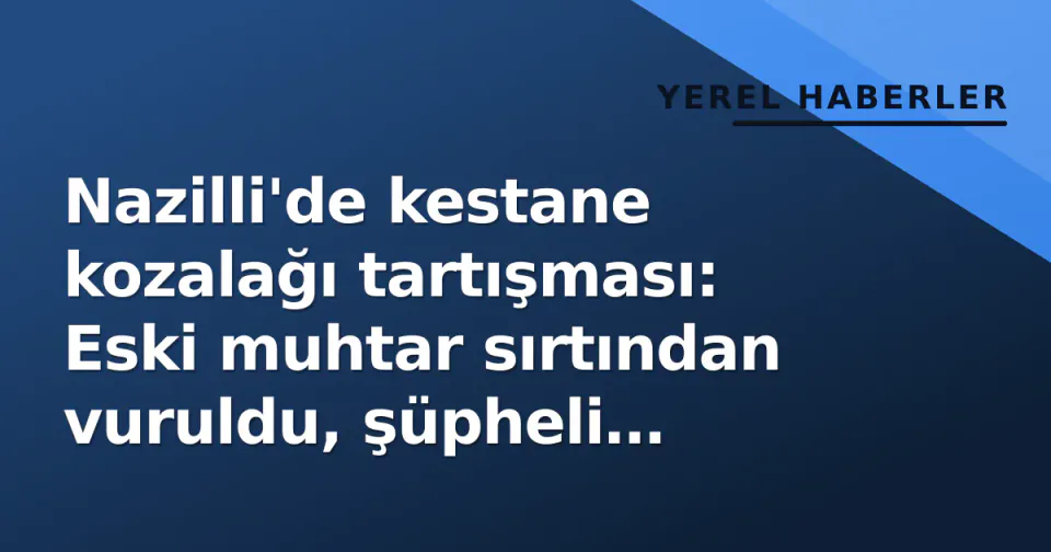 Nazilli'de kestane kozalağı tartışması: Eski muhtar sırtından vuruldu, şüpheli aranıyor görseli