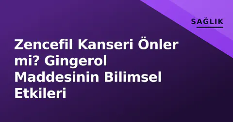 Zencefil Kanseri Önler mi? Gingerol Maddesinin Bilimsel Etkileri