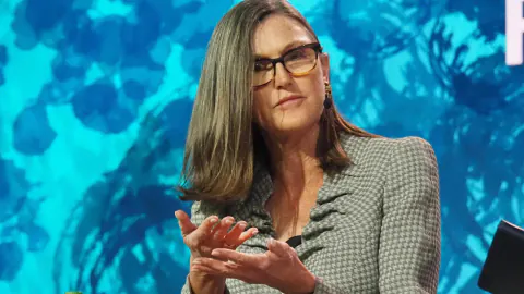 Cathie Wood'un ARK Invest, Securitize ile OpenAI ve Anthropic hisseli fonu tokenize etti