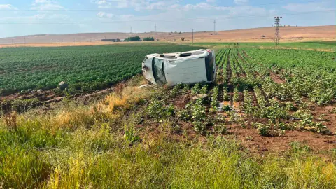 Ahlat'ta Kontrolden Çıkan Otomobil Takla Attı: 3 Yaralı