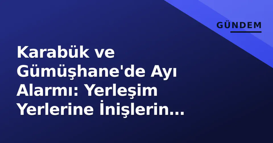 Karabük ve Gümüşhane'de Ayı Alarmı: Yerleşim Yerlerine İnişlerin Nedeni Ne? görseli