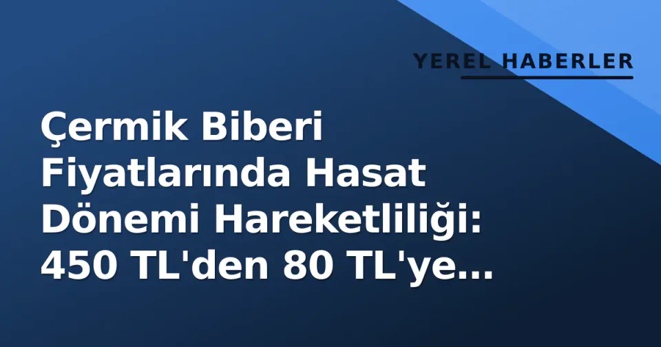 Çermik Biberi Fiyatlarında Hasat Dönemi Hareketliliği: 450 TL'den 80 TL'ye Düştü görseli