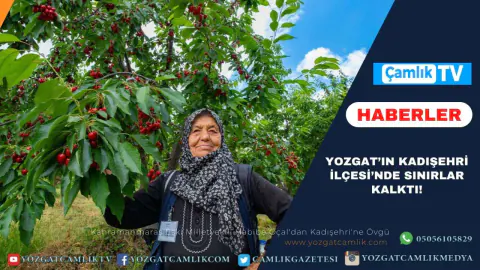 Yozgat'ta Tarım Devrimi: Kabalı Köyü'nde 15 Bin Ton Meyve Rekoltesi
